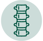 spine icon